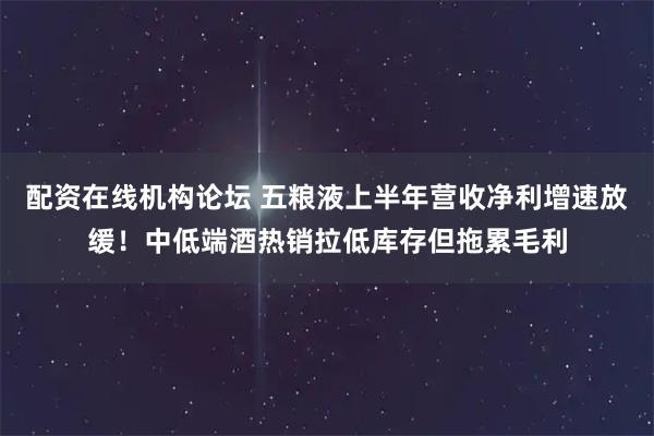 配资在线机构论坛 五粮液上半年营收净利增速放缓！中低端酒热销拉低库存但拖累毛利