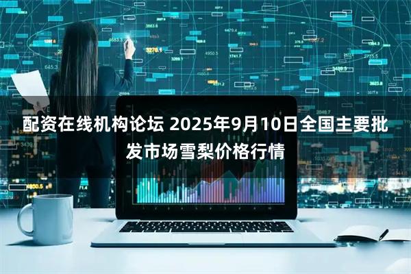配资在线机构论坛 2025年9月10日全国主要批发市场雪梨价格行情