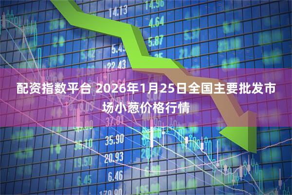 配资指数平台 2026年1月25日全国主要批发市场小葱价格行情